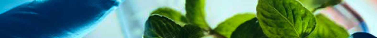 Científico en laboratorio