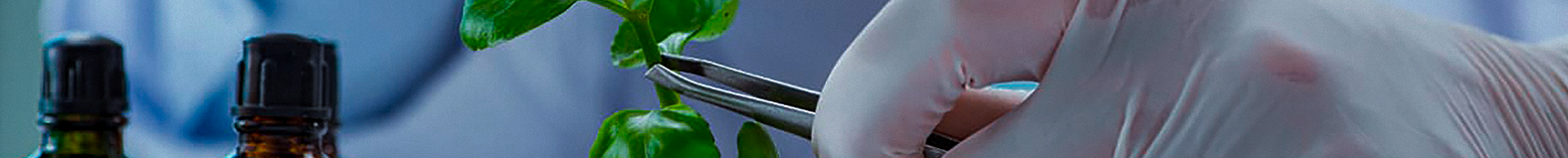 Científico en laboratorio