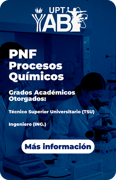 PNF Procesos Químicos